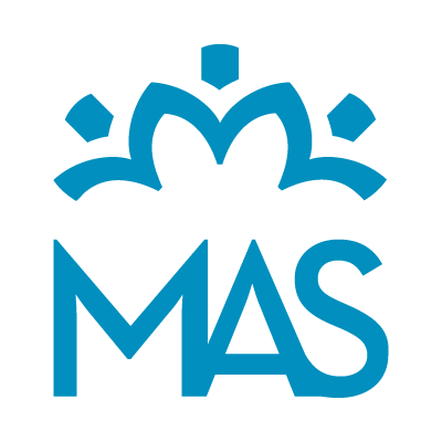 Meticulon Assessment Service